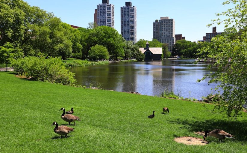 探索香港辦公大樓的獨特魅力與秘密