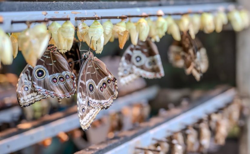 物業估價的重要性與實務解析