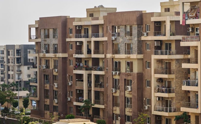 文化活動香港:多元娛樂體驗回顧