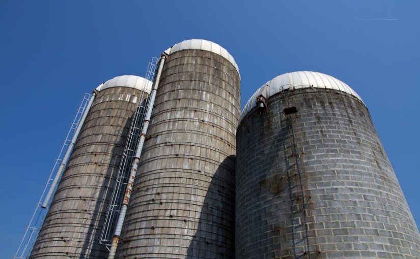 迷你倉：城市生活中的空間魔法師