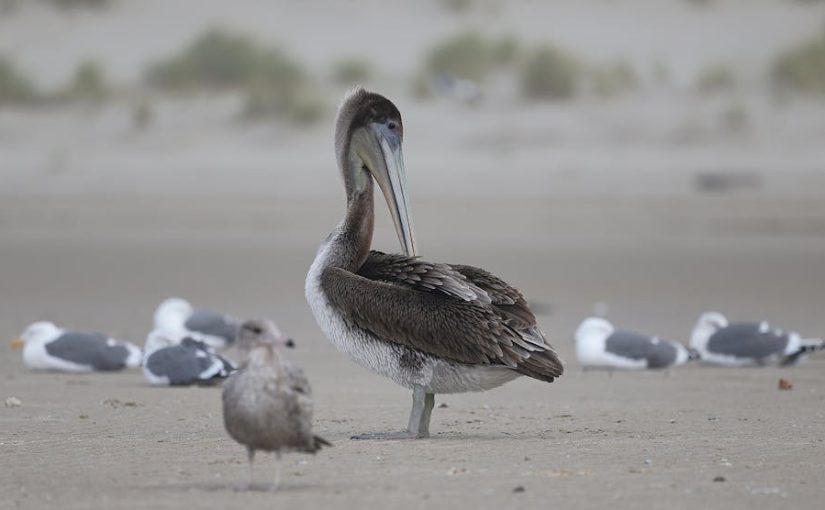 迷你倉的重要性與選擇指南