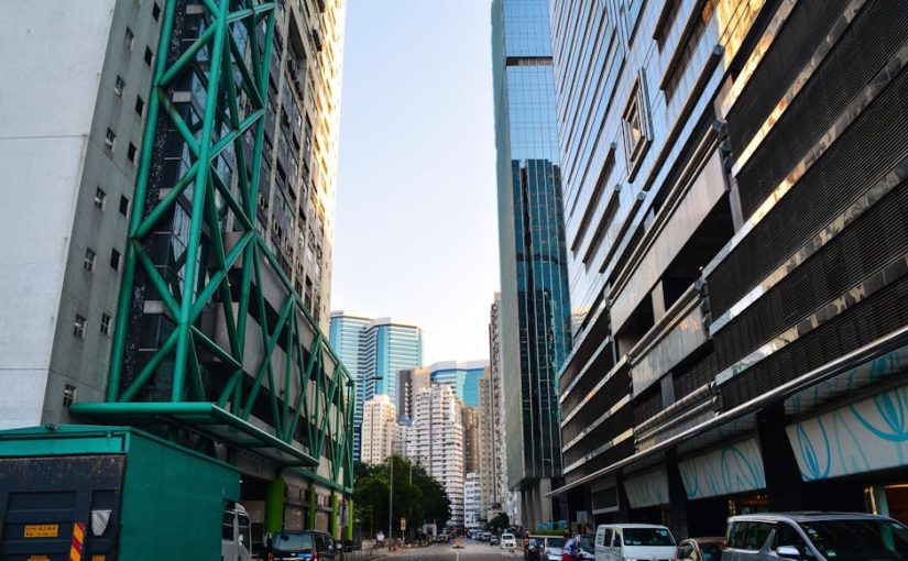 香港女裝背囊市場全面分析